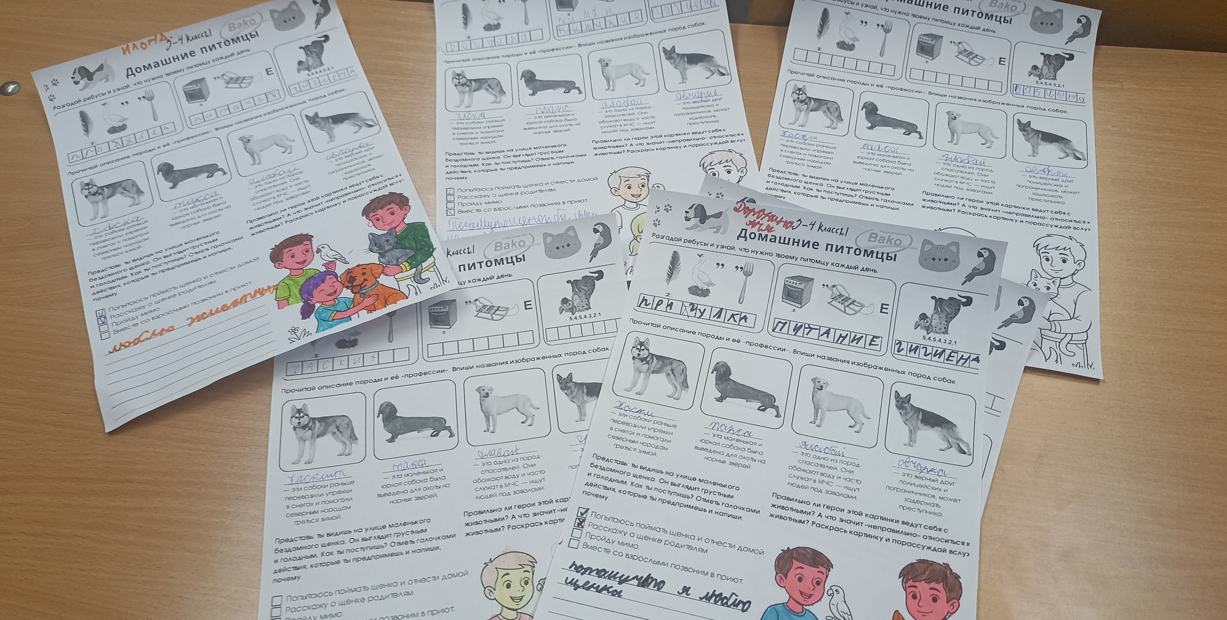 В ГОУ РК «РЦО» обсудили тему  — «Домашние питомцы».