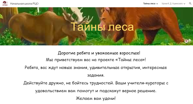 Сетевой проект «Тайны леса».