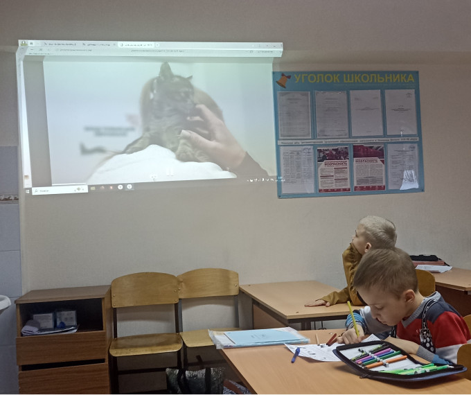 В ГОУ РК «РЦО» обсудили тему  — «Домашние питомцы».