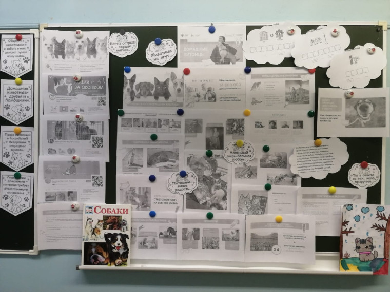 В УКП «РДБ» прошло занятие проекта на тему «Домашние питомцы»..